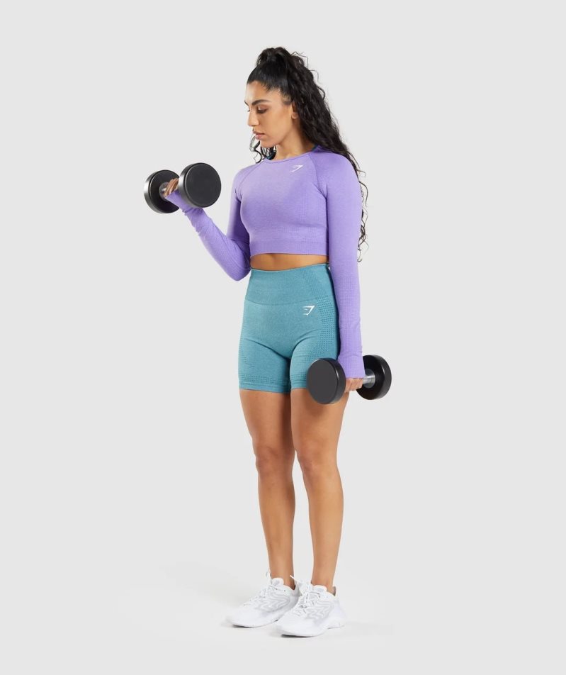 Women's Gymshark Vital Seamless 2.0 Long Sleeve Cropped Tops Lavender | NZ 5OLYUB